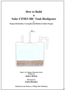 Book Cover for How to Build a Solar CITIES IBC Tank Biodigester