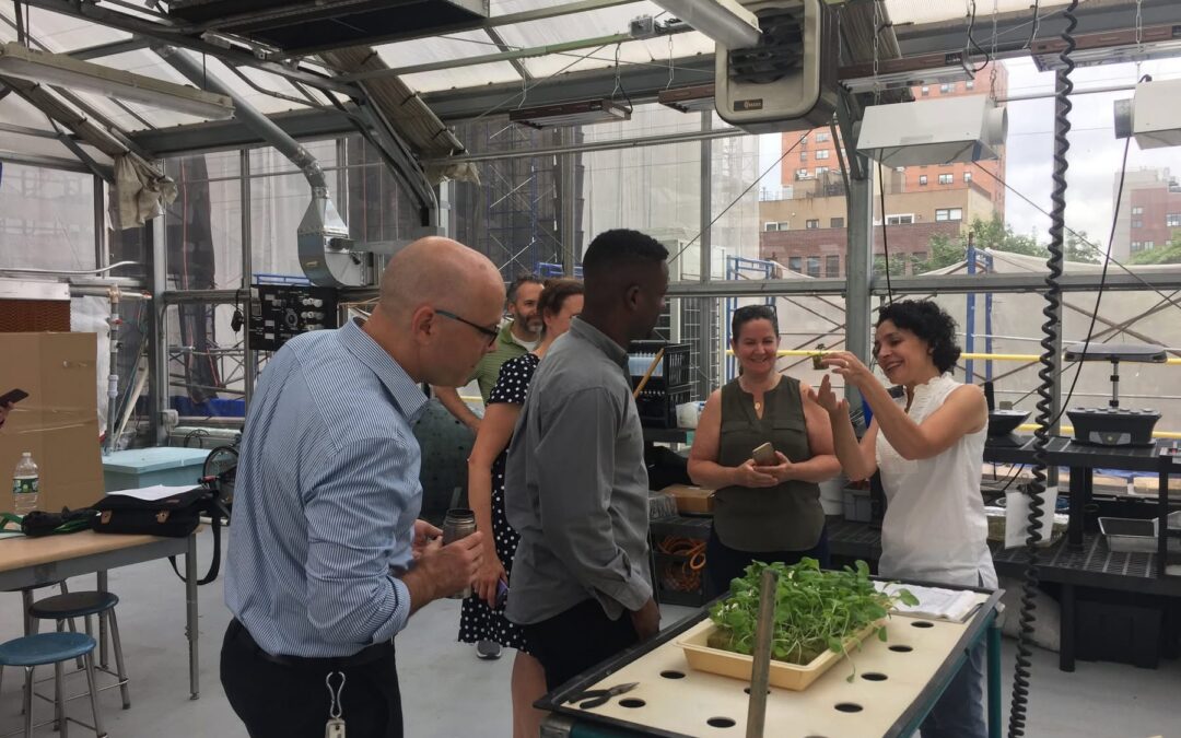 Are biodigesters legal in NYC schools?